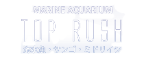 静岡県焼津市にある海水魚とサンゴの専門店 トップラッシュ ミドリイシやライブロックも販売中